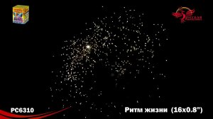 РС6310 Салют "Ритм жизни" (0,8"х16) МОДУЛЬ 1/24/1