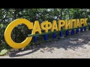 САФАРИ ПАРК + КАНАТНАЯ ДОРОГА. ГЕЛЕНДЖИК. SAFARI PARK + CABLE CAR. GELENDZHIK