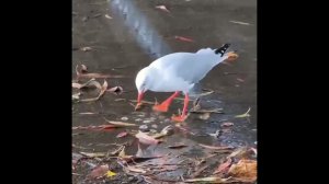 14 сентября 2024 г.