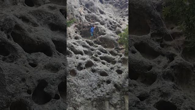 Индюк 2018 Работа на Сыре Никандр смотреть онлайн