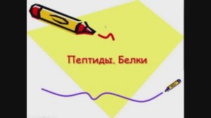 Пептиды и белки