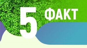 Факт №4 о противогололедных материалах