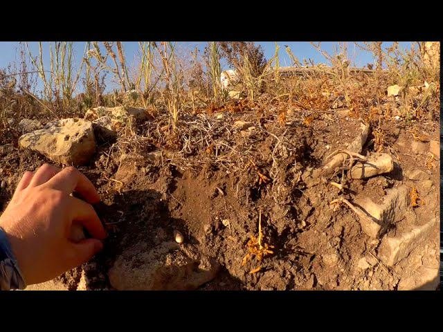 Анталия 2020. Древний город Перге. Часть 3: древнегреческий арбуз.