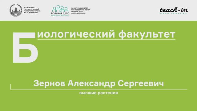 9. Метаморфозы корней. Высшие растения - Зернов А. С. Teach-in.