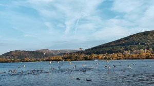 Красноярск_Удачный осенью 2024