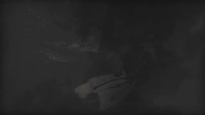 SCP  Containment Breach Gmod Animation