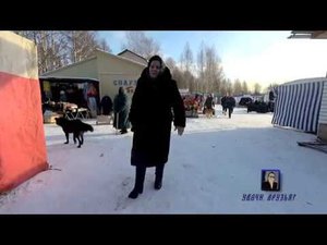 Весьегонск 2020. 23 января. Дед на велопрогулке). Старый город-рынок.