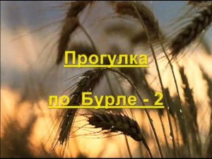 Бурла 2014. Прогулка по Бурле-2