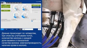Преимущества направленного трафика и доения в роботе DeLaval VMS™