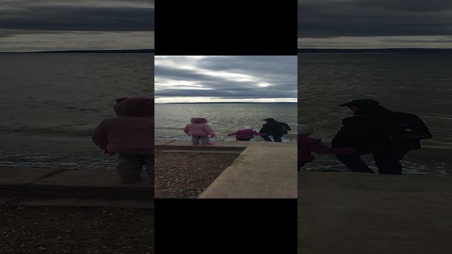 VID_20231103_140335 // 3.11.23 г на набережной
