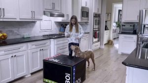 Animal Loving Ninjas Go Head-to-Head! | AMERICAN NINJA WARRIOR JUNIOR