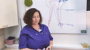 что такое периодонтит