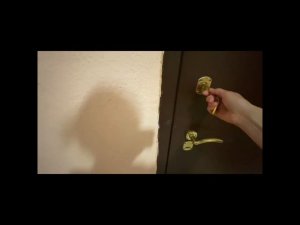 "До и После" обучения "Искусству общения с собакой"!