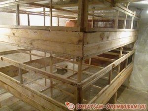 Как сделать цыплятник