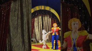 Дети в цирке