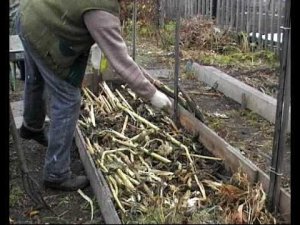 Теплая грядка от и до