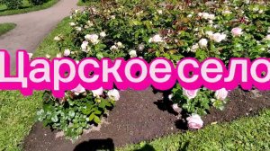 Царское село