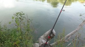 Рыбалка КАК В АМАЗОНКЕ! Ловим рыбу в водовороте и на сильном течении!