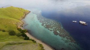 Зеленая АТМОСФЕРА DOLBY VISION 4K HDR-Настолько реальный, что Ты забудешь, что находишься (60 FPS)