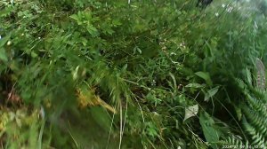 купили эндуро