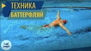 Баттерфляй. Разбор техники плавания. Сравнение с Олимпийской Чемпионкой