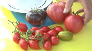 Томаты 2023 ч 1