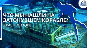 VIP Diving College Russia. Египет, Дайвинг, Яхта! #vipshrouq #круиз #лето2022 #египет2022 #vipdiving