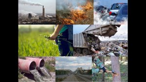 Коротко об экологии