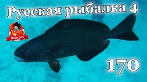 Русская рыбалка 4. 170 ЯМА