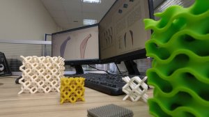 Инженерный спецназ. Студентка СПбПУ получила медаль РАН за модель эндопротеза тазобедренного сустава