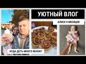 Крутая находка для дома  Рецепты из яблок Алисе 8 месяцев Новая детская одежда