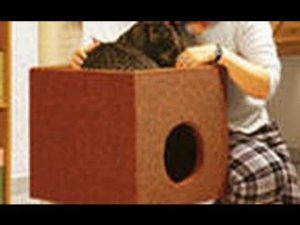 Как сделать дом для кота