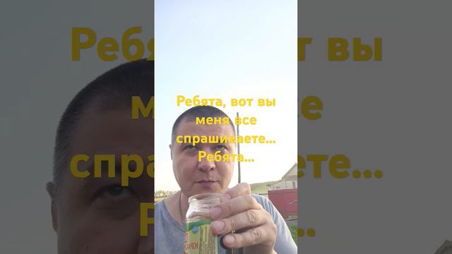 Кто тебя спрашивает? Ну кто тебя спрашивает?