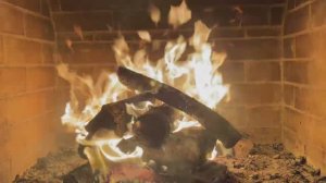 Очарование осеннего костра