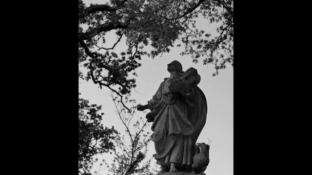 Bragartes - Fotógrafo Rui Morgado ( BlackSoulPump) смотреть онлайн