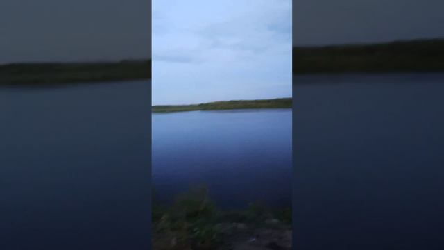 Живу так как хочу