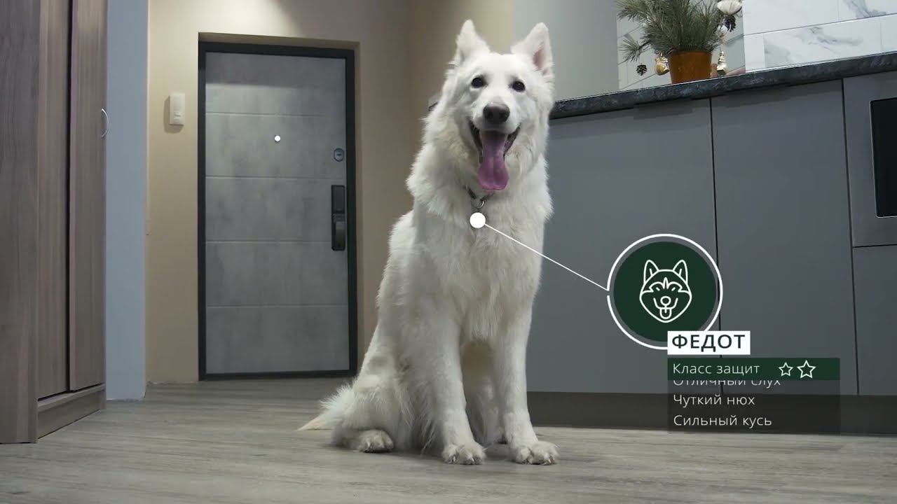 Входная дверь ESTET - защитник вашего дома смотреть онлайн