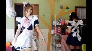 Япония. Мэйдо кафе со скрытой камерой! Часть 2я