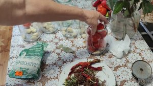 Помидоры 🍅🍅🍅 с остринкой // продолжение 👇//