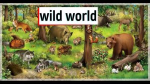 Животный мир России. Fauna of Russia