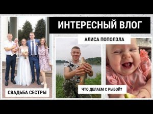 СВАДЬБА СЕСТРЫ / ОТДЫХ СОРВАЛСЯ / ПЛАТНАЯ РЫБАЛКА / ВЫЛЕЗЛИ ЗУБЫ / АЛИСА ПОЛЗАЕТ