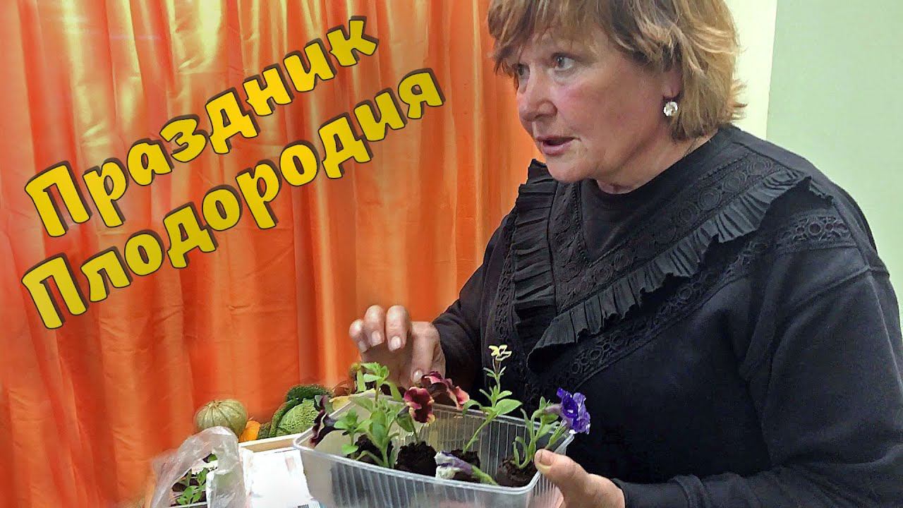 Мобильный садик. Цветы в контейнерах