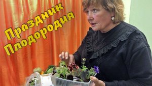 Мобильный садик. Цветы в контейнерах