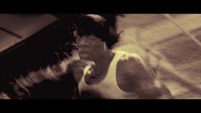 Stelartronic - Last Man Standing (Official Video) смотреть онлайн