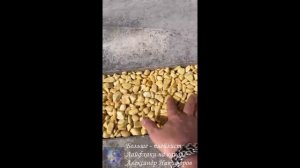 Лайфхак. Каменный ковер на участке