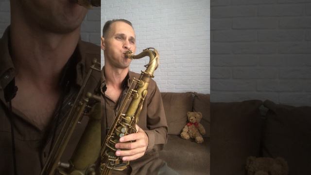 Steve Cole - NY LA Sax Cover