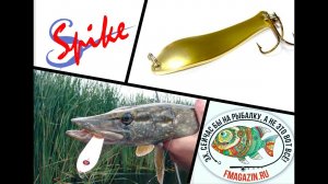 Распаковка посылки из Fmagazin. Блесна Spike Куусамо 1004 (10 г)