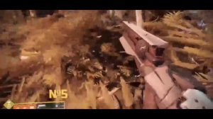 🐈⬛ВСЕ КОШЕЧКИ ГОРОДА ГРЕЗ В DESTINY 2🐈⬛
