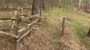 ГРИБОВ МНОГО! По ГРИБЫ конец АПРЕЛЯ! КЛЕЩИ АТАКУЮТ! ПЕРВЫЕ ГРИБЫ 2020