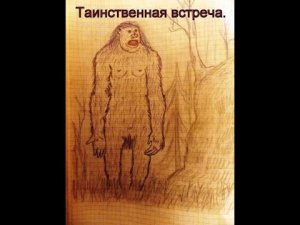 ТАИНСТВЕННАЯ  ВСТРЕЧА.   ( для Германа)